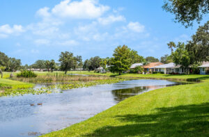 IRCC homes by natural wetlands
