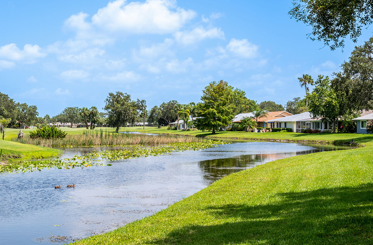IRCC homes by natural wetlands